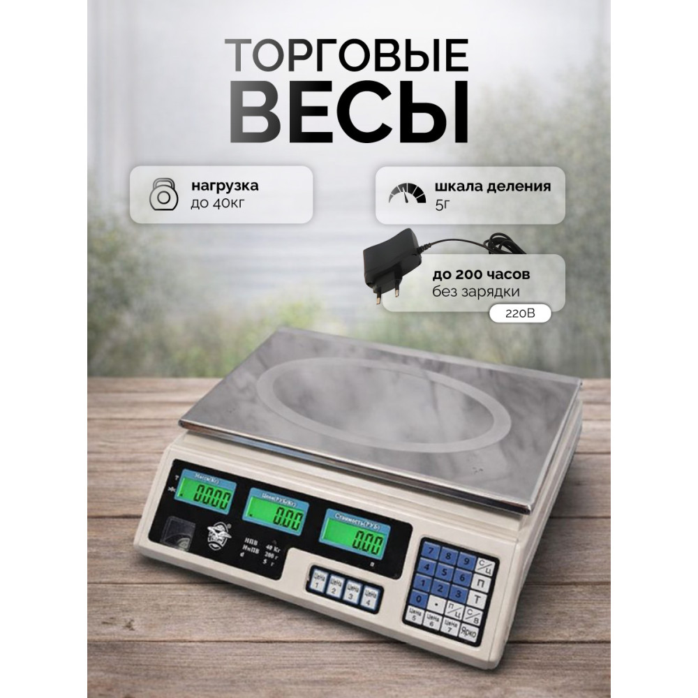 Весы торговые настольные до 40 кг/5 г 34,5*33,5*11,5 см адаптер дисплей память белый Baizheng