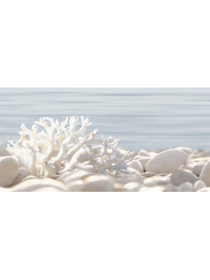 Декор Дель Мар 249*500 (12 шт. в коробке) DWU09DLM624 Декор Дель Мар 249*500 (12 шт. в коробке) DWU09DLM624
