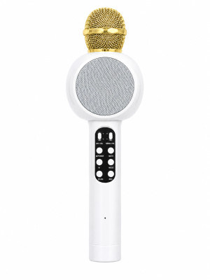 Караоке-микрофон беспроводной 5 Вт 27*8*8 см подсветка MP3 WMA USB белый Baizheng Караоке-микрофон беспроводной 5 Вт 27*8*8 см подсветка MP3 WMA USB белый Baizheng
