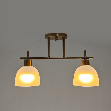 Люстра 2 плафона 43*13*27 см Е14 60Вт 9м2 плафон стекло золото Baizheng