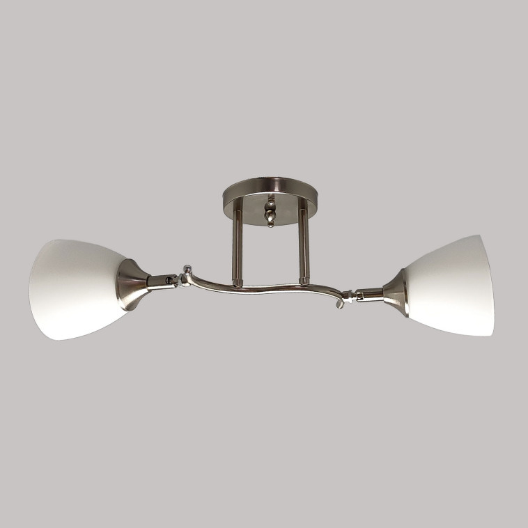 Изображение Светильник спот 2 плафонов 50*16*24 см Е27 60Вт 9м2 плафон стекло серебро Baizheng