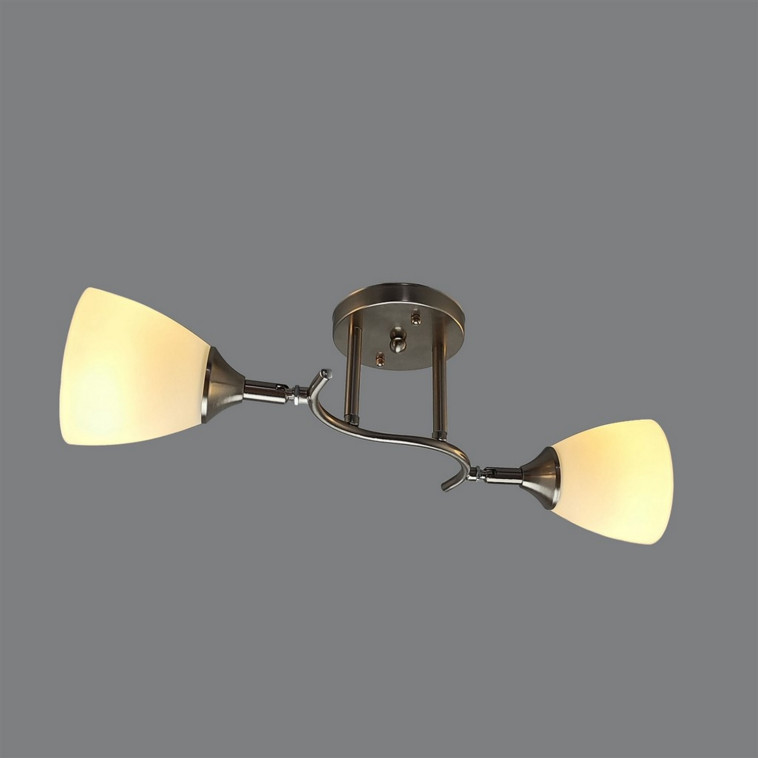 Светильник спот 2 плафонов 50*16*24 см Е27 60Вт 9м2 плафон стекло серебро Baizheng