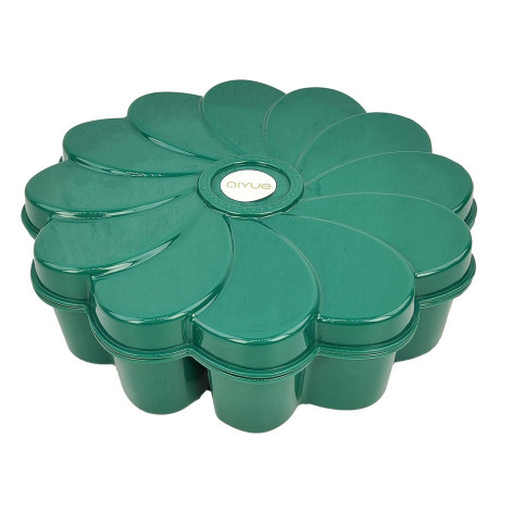 Менажница пластиковая 275х90 мм 5 ти секционная зеленый BZ-1270 Baizheng