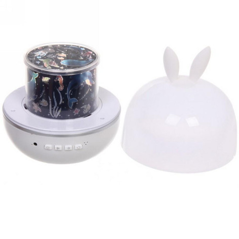 Диско шар 5 реж 6 картинок батарейки USB 4*АAА 3 цвета Fantasy Зайка