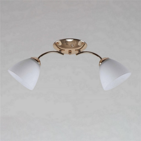 Люстра 2 плафона 55*15*20 см Е27 60Вт 9м2 плафон стекло бронза Baizheng