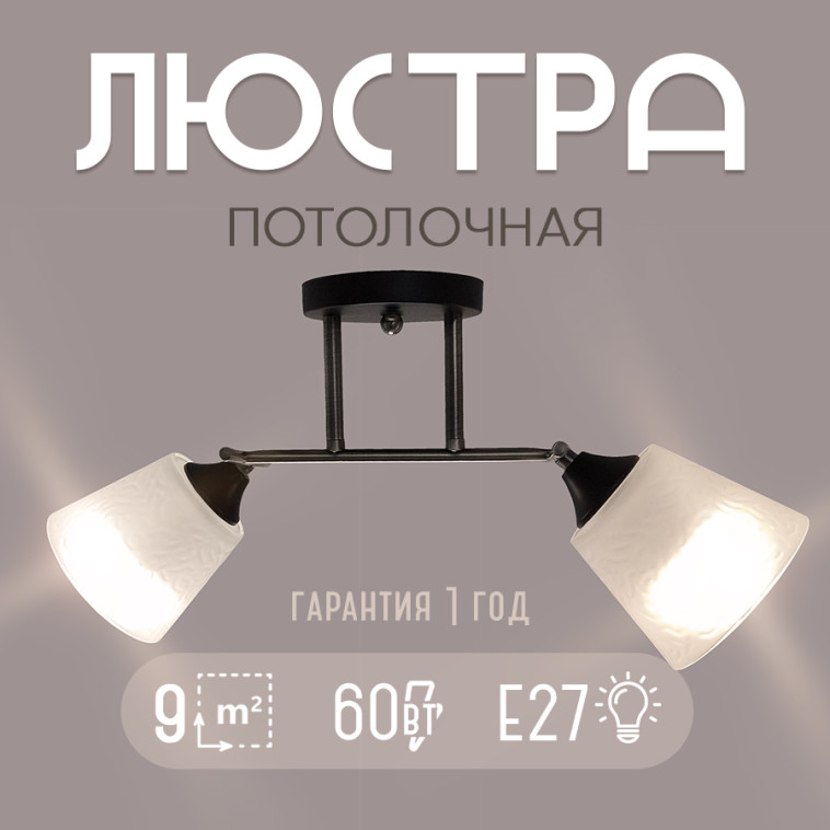 Фото Люстра Baizheng 2 плафона, 60Вт, 9м2, черная-бронза 50*13*25см