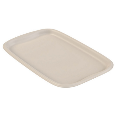 Поднос пластиковый 406х266х24 мм Эгоист Альт-Пласт