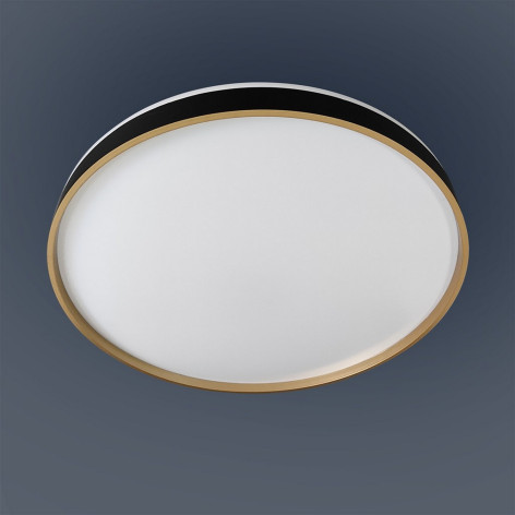 Светильник потолочный светодиодный 50 см 60 Вт 25м2 2 цвета акрил пульт черный Baizheng