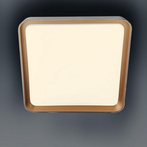 Светильник потолочный светодиодный 50 см 60 Вт 25м2 2 цвета акрил пульт золото Baizheng