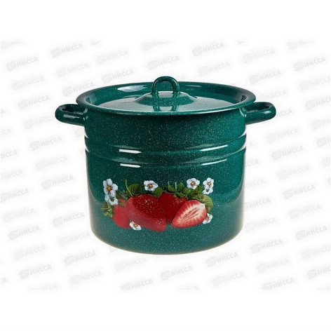 Кастрюля эмалированная 9 л петля зеленый рябчик Клубника садовая Стальэмаль