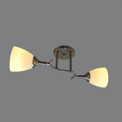 Светильник спот 2 плафонов 50*16*24 см Е27 60Вт 9м2 плафон стекло серебро Baizheng