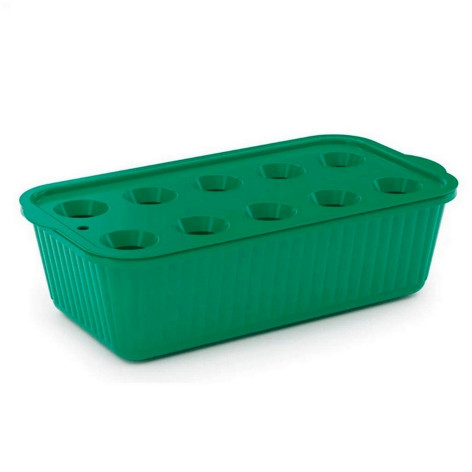 Лоток пластиковый для выращивания зеленого лука 305х160х85 мм темно-зеленый Альтернатива