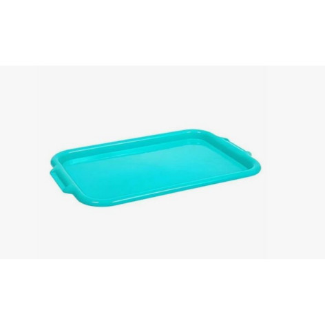 Поднос пластиковый 40*32 см Ангарск