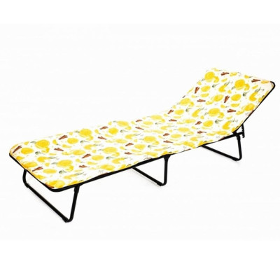 Кровать раскладная 1920*650*250 мм до 120 кг толщина матраца 1 см Стефания Olsa