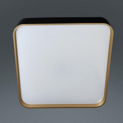 Светильник потолочный светодиодный 50 см 60 Вт 25м2 2 цвета акрил пульт черный Baizheng