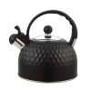 Мини фото Чайник нерж сталь  2,5 л со свистком индукция Соты черный Baizheng