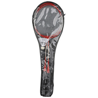 Набор для игры в бадминтон Ракетки 2 шт + воланчик в чехле BdSet-04 Ecos