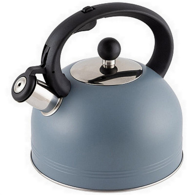 Чайник нержавеющая сталь 2,5 л со свистком окрашенный корпус Mentolo