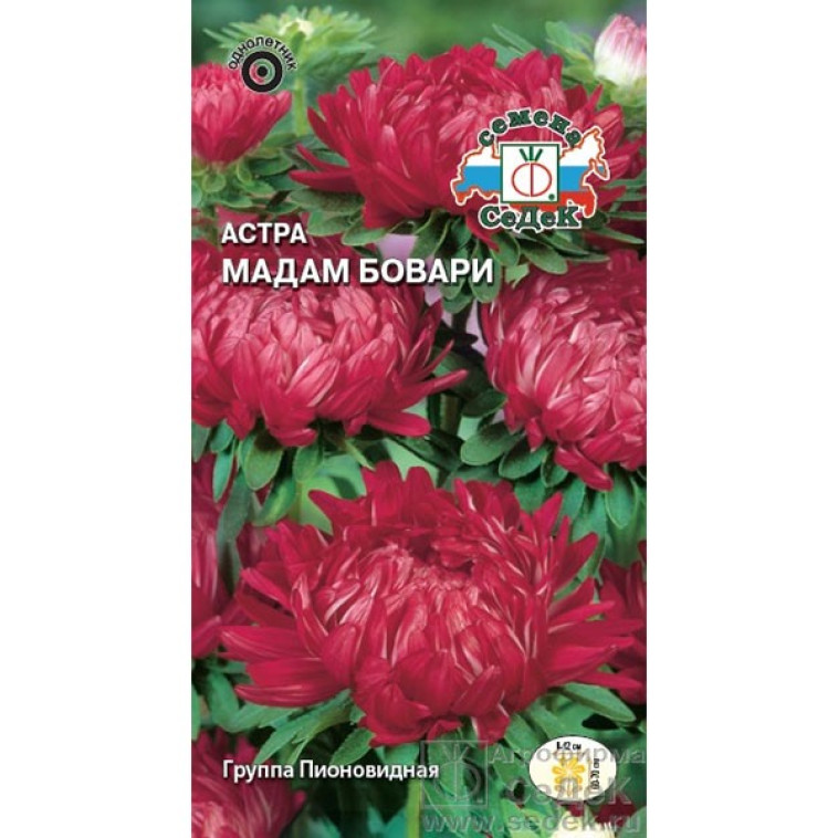 Астра Мадам бовари (пионовидная, тёмно-красная) 0,2г (СеДеК) (10)