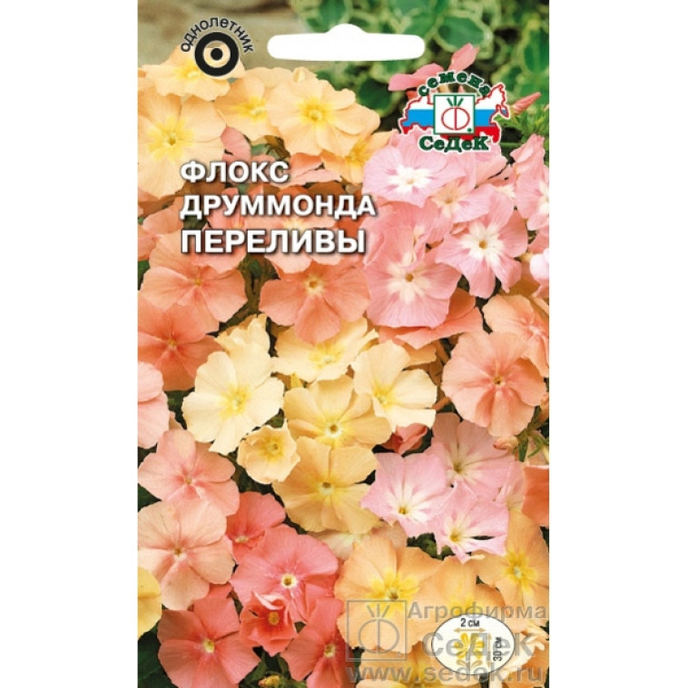 Флокс Друммонда Переливы (низкорослый), 0,2г (СеДеК) (10)