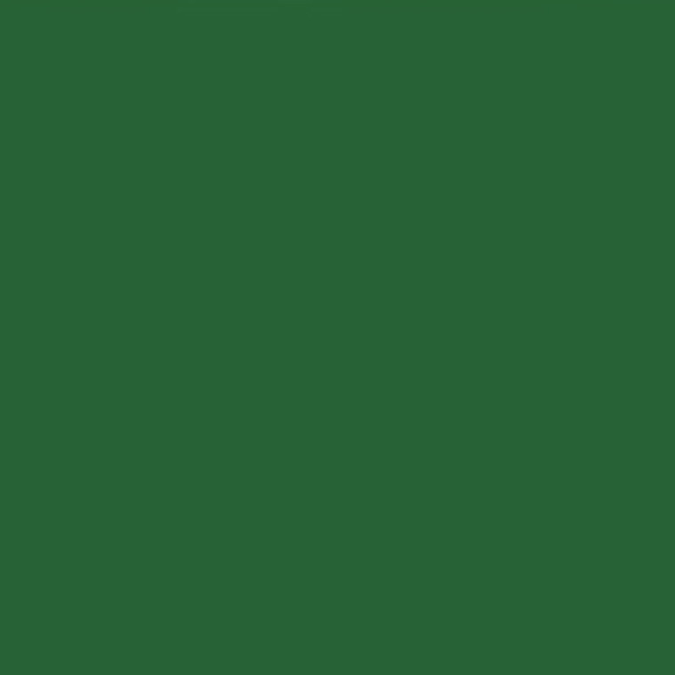 Фото Эмаль аэрозольная Фарбитекс акриловая RAL 6002 зелёный лист 520мл