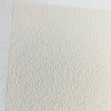 Мини фото Краска Shine Farbitex Profi акриловая мерцающая влагостойкая белая 3,0кг