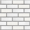 Мини фото Панель стеновая ПВХ кирпич крит 0,98х0,49м Регул