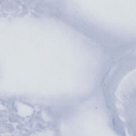 Пленка самоклеящаяся Y19 мрамор фиолетовый 0,45*8м