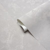 Мини фотография 589118 Prestige (589108) обои вин. на флиз.основе г.т. 1,06*10 (VS) 6