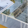 Мини изображение Клеенка силиконовая 0,8*20 м 0,6 мм BZ-2389B Baizheng