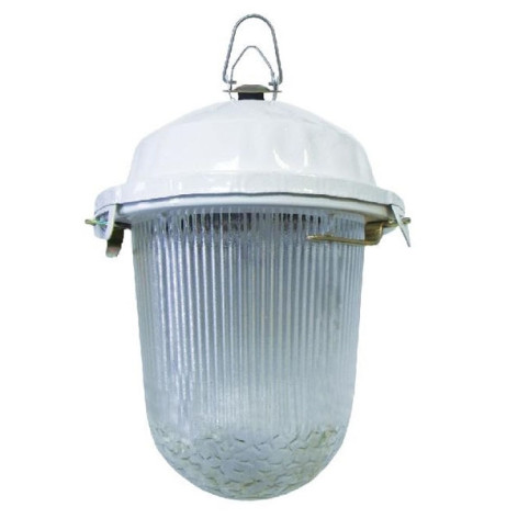 Светильник НСП 02-100-001.01 У2 стекло крюк TDM 172*246мм IP52