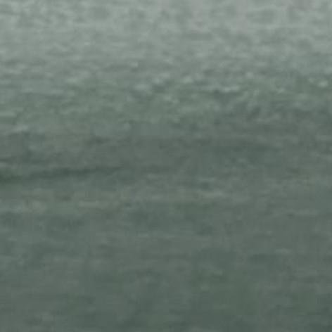 Состав ЗКС быстросохнущий  Гавань 2,7 (4)  FARBITEX ПРОФИ WOOD