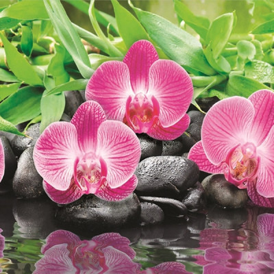 Фартук ПВХ Орхидея 600*3000*0,75мм