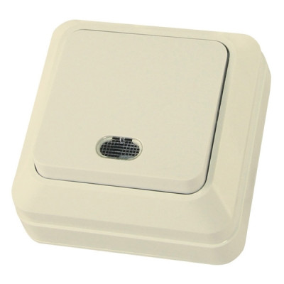 Выключатель 1кл оу подсветка IP20 10А сл.кость Ладога TDM Выключатель 1кл оу подсветка IP20 10А сл.кость Ладога TDM