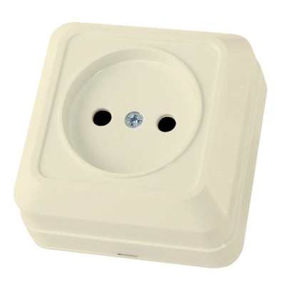 Розетка 1 мест оу IP20 10А 2П сл.кость Ладога TDM Розетка 1 мест оу IP20 10А 2П сл.кость Ладога TDM