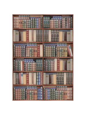 Фотообои виниловые Книжная полка 2 листа 180*254 в тубе Фотообои виниловые Книжная полка 2 листа 180*254 в тубе