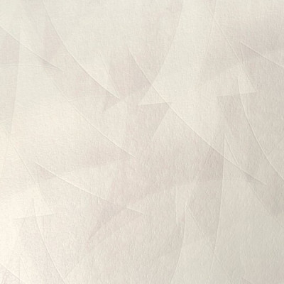 Обои бумажные виниловые 906101 0,53х10м