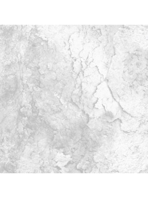 Тропик CL110203 обои винил. на флиз. основе г.т. 1,06*10 (Китай) 6