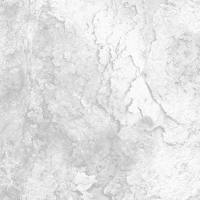 Тропик CL110203 обои винил. на флиз. основе г.т. 1,06*10 (Китай) 6