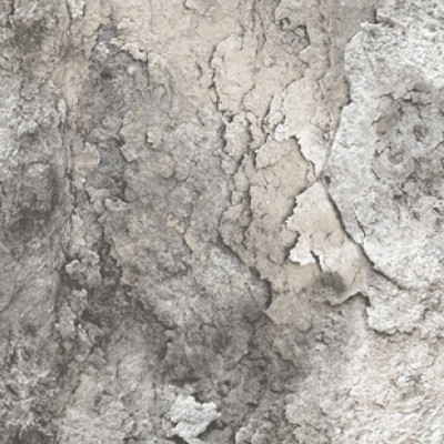 Тропик CL110206 обои винил. на флиз. основе г.т. 1,06*10 (Китай) 6