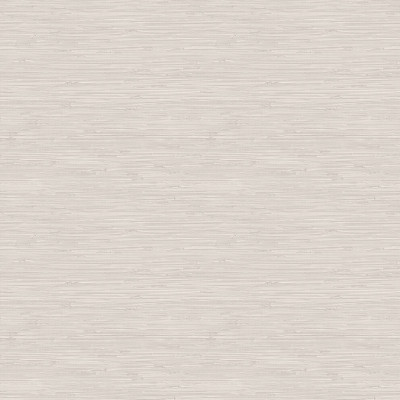 12381 Пати-2 Фон обои дуплекс 0,53*10 (Гомель Фокс) 14