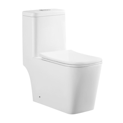 Унитаз моноблок Knois KN6264000 белый, горизонт. выпуск, душевой тип смыва, микролифт 68*36,5*78 см