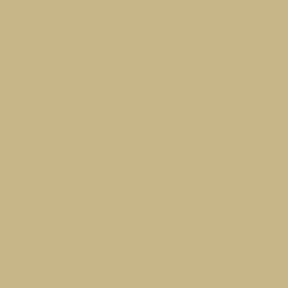 Эмаль алкидная ПФ-115 OLECOLOR бежевая 0,8 кг