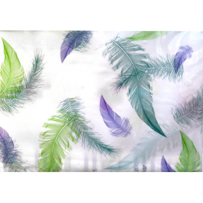 Клеенка силиконовая 1,0*20 м 0,7 мм фиолетово-зеленые перья на белом Baizheng Клеенка силиконовая 1,0*20 м 0,7 мм фиолетово-зеленые перья на белом Baizheng