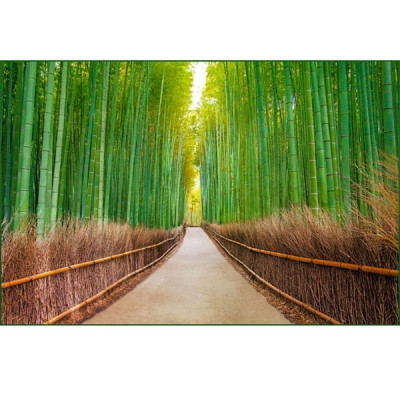 Фотообои бумажные Бамбуковая роща 16 листов 392х260 Фотообои бумажные Бамбуковая роща 16 листов 392х260