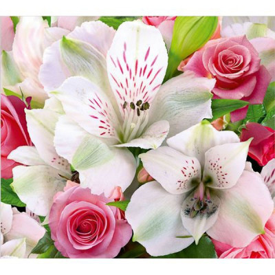 Фотообои бумажные Букет 12 листов 294х260 в тубе