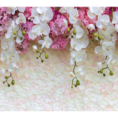 Фотообои бумажные Каскад орхидей 12 листов 294*260 в тубе Фотообои бумажные Каскад орхидей 12 листов 294*260 в тубе