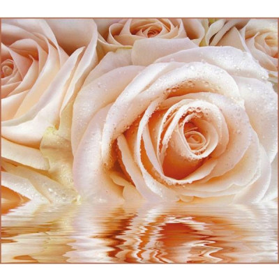 Фотообои бумажные Нежная роза 12 листов 294х260 в тубе Фотообои бумажные Нежная роза 12 листов 294х260 в тубе