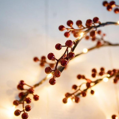 Гирлянда светодиодная  2,1 м 30 led 2*АА теплый белый Ягоды Там Там