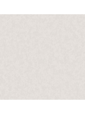 Обои бумажные виниловые Джой Фон 0350-21 0,53*10